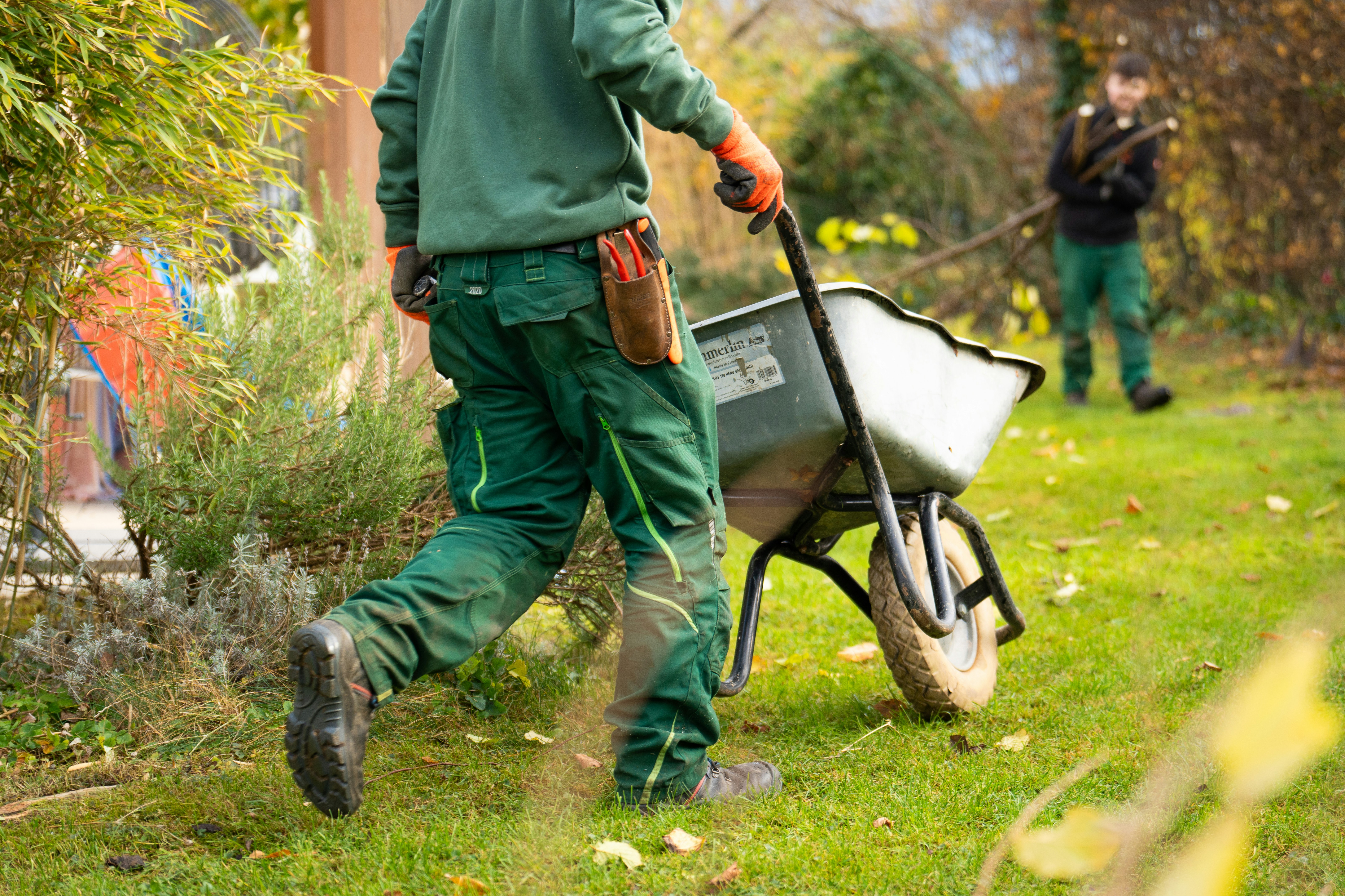 Gardening